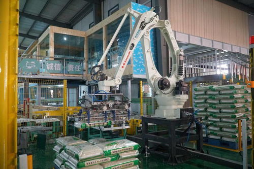 軟件技術開發賦能寧夏綠色食品產業，激發農業新活力