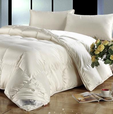 安徽鴻潤(集團)股份創(chuàng)立于1991年,是目前國內主要的羽絨制品